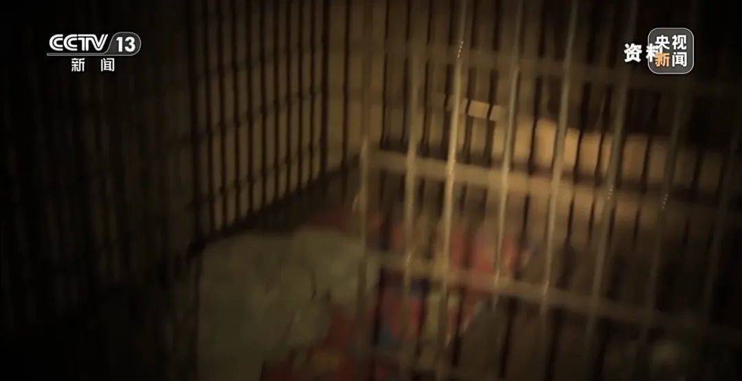 足球平台出租网
_细节披露！18岁高中生被骗至缅甸：不听话白天暴晒晚上挨打足球平台出租网
，被迫去搞网恋诈骗