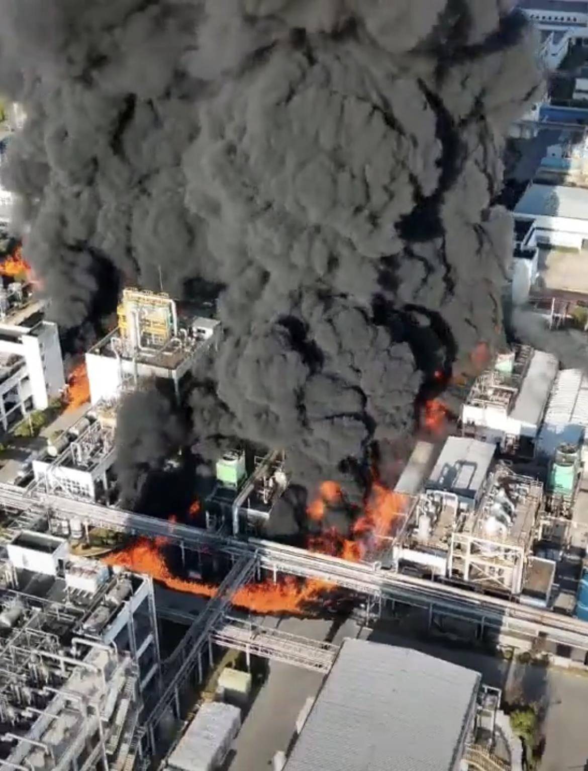 正版皇冠信用盘开户
_黄山市一化工园区工厂失火正版皇冠信用盘开户
，现场浓烟滚滚并伴随有爆炸声，当地紧急救援