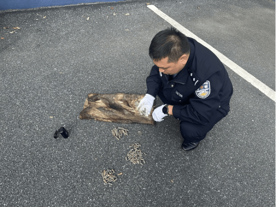 皇冠信用网登2代理
_男子钓到108发子弹以为是大鱼皇冠信用网登2代理
,警方:疑似为历史遗留弹药,已移交至相关部门处理